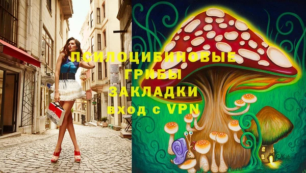 соль ск Навашино