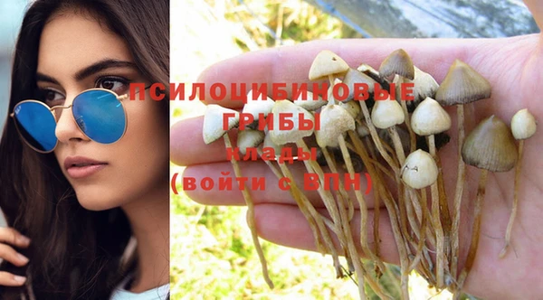 гашик Михайлов