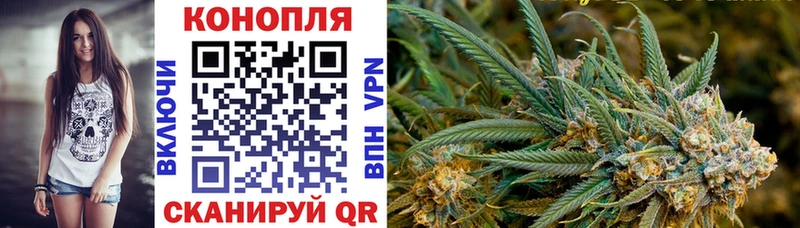 omg как зайти  Дубовка  Конопля Bruce Banner  где найти  